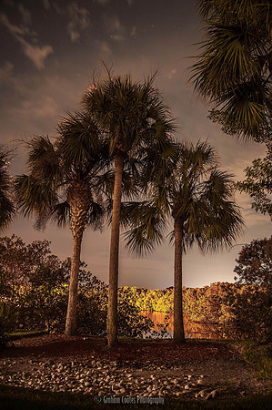 Naples, Florida