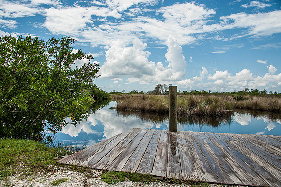 Naples, Florida