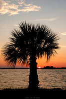 Dunedin, Florida