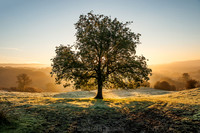 Kingsley Holt, Staffordshire
