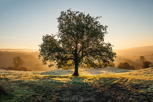 Kingsley Holt, Staffordshire