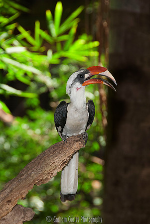 Gatorland, Florida USA