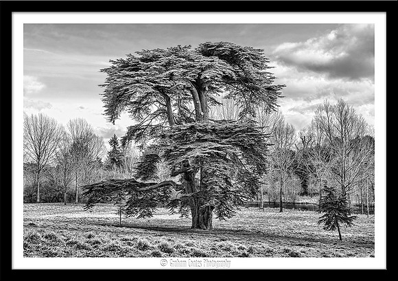 Blenheim Palace grounds, Oxfordshire UK
