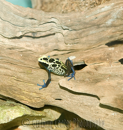 Tampa Aquarium, Florida