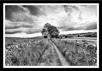 The road to Thors Cave Staffordshire