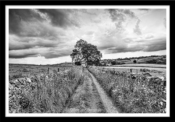 The road to Thors Cave Staffordshire