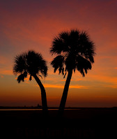 Fort de Soto, St Petersburg, Florida