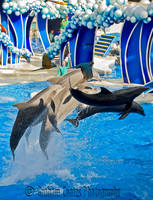 Seaworld, Florida, USA