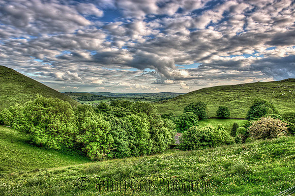 Staffordshire