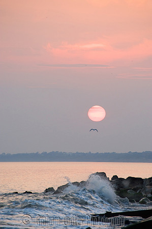 Milford on Sea, Hampshire